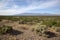 Landscape near Safford, Arizona