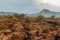 Landscape near Telica volcano, Nicarag