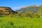 Landscape near village Siurana in Catalonia mountains