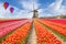 Landscape of Netherlands bouquet of tulips with hot air ballon.