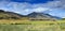 Landscape in New Zealand - dry bushes in front of the mountains. Molesworth station, South Island