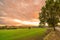 Landscape next to the forest with threatening clouds