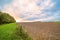 Landscape next to the forest with threatening clouds