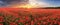 Landscape with nice sunset over poppy field - panorama