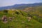 Landscape of the north of the Golan Heights Israel