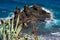 Landscape of the northern part of the island. Rocky coast, viewpoint - Mirador Playa de Benijo, Atlantic Ocean.