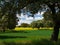 Landscape with oaks, meadow and rapeseed