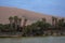 Landscape of oasis lake with many palm trees outdoor recreation in Huacachina Ica peru