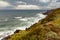 Landscape of the ocean and waves crashing on the rocks. View of the flowers blooming on the rocky slopes of the shore and the clou