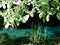 Landscape of Ohrid Lake springs, Macedonia.