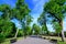 Landscape with old green trees and grey alley in Mogosoaia Park Parcul Mogosoaia, a weekend attraction close to  Bucharest,