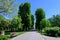 Landscape with old green trees and grey alley in Mogosoaia Park Parcul Mogosoaia, a weekend attraction close to  Bucharest,