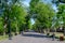 Landscape with old green trees and grey alley in Mogosoaia Park Parcul Mogosoaia, a weekend attraction close to  Bucharest,