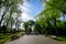 Landscape with old green trees and grey alley in Mogosoaia Park Parcul Mogosoaia, a weekend attraction close to  Bucharest,