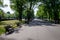 Landscape with old green trees and grey alley in Mogosoaia Park Parcul Mogosoaia, a weekend attraction close to  Bucharest,