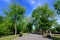 Landscape with old green trees and grey alley in Mogosoaia Park Parcul Mogosoaia, a weekend attraction close to  Bucharest,