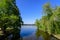 Landscape with old green trees near Herastrau lake and large green trees in King Michael I Park former Herastrau in Bucharest,