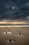 Landscape with old groynes protruding from sand on Rhosilli Bay