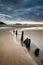 Landscape with old groynes protruding from sand on Rhosilli Bay