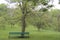 Landscape of the old park, solitude, park bench, green grass carpet