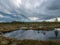 Landscape with old peat bogs and swamp vegetation. The bog pond reflects small pines, bushes and cloudy skies. Niedraju Pilkas