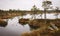 Landscape with old peat bogs and swamp vegetation. The bog pond reflects small pines, bushes and cloudy skies. Niedraju Pilkas