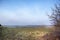 Landscape of an open farmland with dry grass, leafless trees and thorny bushes. Wild shrubs growing on an empty