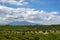 Landscape with orange and lemon trees plantations and view on Mount Etna, Sicily, agriculture in Italy