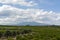 Landscape with orange and lemon trees plantations and view on Mount Etna, Sicily, agriculture in Italy