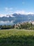 Landscape over lake geneva , vineyard , town and swiss alps e