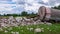 Landscape with overturned old water tower, wooden barrel on the ground, fragments of white brick ruins, Latvia, Vaidava