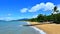 Landscape of Palm Cove Queensland Australia