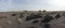 Landscape panorama view of Erta Ale Volcano with camel in foreground in the remote regions of Ethiopia