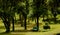 Landscape with park bench in the bryant park.