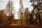 Landscape in the park on nature with a bench, a lantern and trees on an autumn day. Relaxation and daydreaming