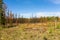 A landscape partially ravaged by fire in northern canada