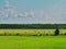 Landscape pasture rolls of hay