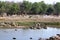 Landscape of pench river at pench national park ,madhyapradesh ,india ,area of tiger resting in water