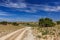 Landscape with perspective of disappearing dirt road over hills, dry grass and clover green Medicago