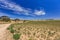 Landscape with perspective of disappearing dirt road over hills, dry grass and clover green Medicago