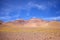 Landscape with peruvian feathergrass in the Puna de Atacama, Argentina