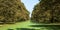 A landscape photo of an avenue of trees