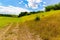 Landscape photo of the hillside with variegated lawn colors, Ed Zorinsky Lake park Omaha Nebraska