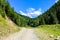 Landscape photo of Iezer Mountains in Romania