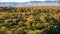 Landscape Photo Overlooking the African Bush