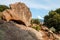 Landscape photo with rocks of Filitosa, Corsica