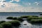 Landscape photo of saltwater marsh with bridge in background