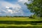 Landscape photography of greend field an cloudy sky