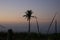 Landscape photography with plants and coconut tree in the foreground and beach in the background