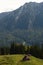 Landscape in Piatra Craiului National Park. Southern Carpathians. Romania